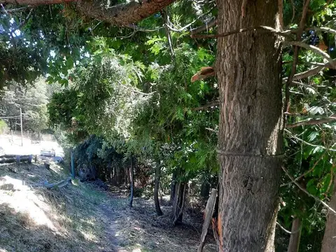 Terreno en Venta 85  mts Fondo