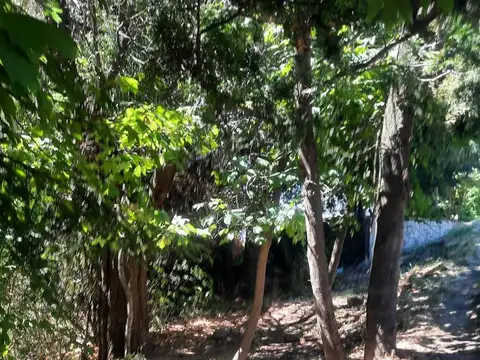 Terreno en Venta 16  mts Frente