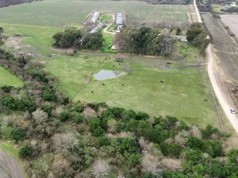 Vendo Campo de 13 Hectáreas en San Justo, Entre Ríos.