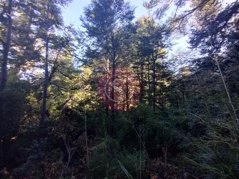 Terreno en Venta de 600,0 m2