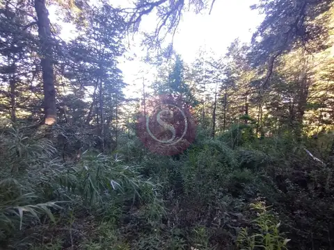 Terreno en Venta en San Martín de los Andes, USD 18.000