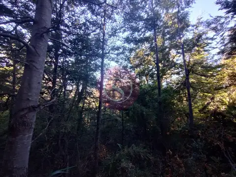 Lote  en Venta en Kaleuche, San Martin de los Andes, Patagonia