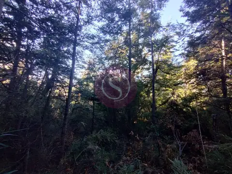 Terreno en Venta en San Martín de los Andes, USD 18.000