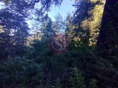 Terreno en Venta de 600,0 m2