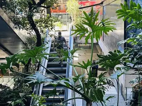 Local en Alquiler 30 años