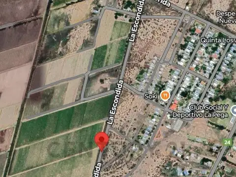 Century 21 vende Finca productiva en La Pega, Lavalle, Mendoza o fracciones de 2000 m² cada lote