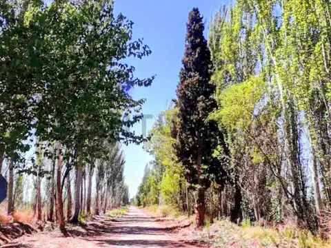 La Escondida , Piso 0