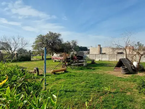 Camporini al 500