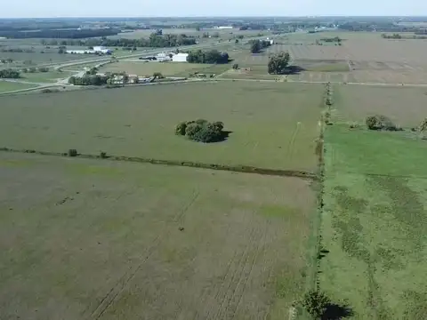 31,12 HECTAREAS SOBRE RUTA 9