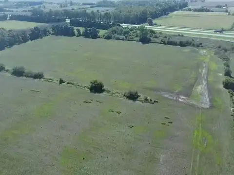 31,12 HECTAREAS SOBRE RUTA 9