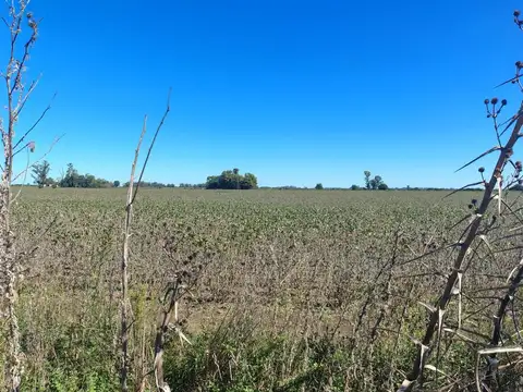 31,12 HECTAREAS SOBRE RUTA 9