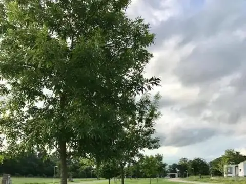 Hermoso lote interno en venta en barrio Las Calandrias, Card