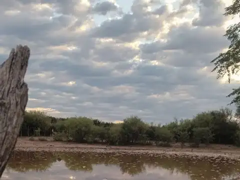 CAMPO GANADERO CON AGUA