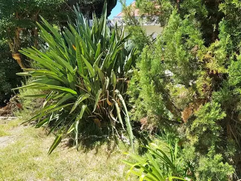Depto Tipo Casa en Venta en Villa Devoto, USD 350.000
