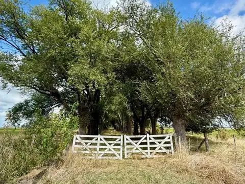 Se vende excelente campo de 83 hectáreas ubicado en la zona rural de Carlos Keen, Luján.