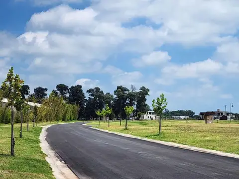 Avenida Carlos Pelegrini