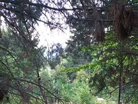 Terreno en Venta 27  mts Frente