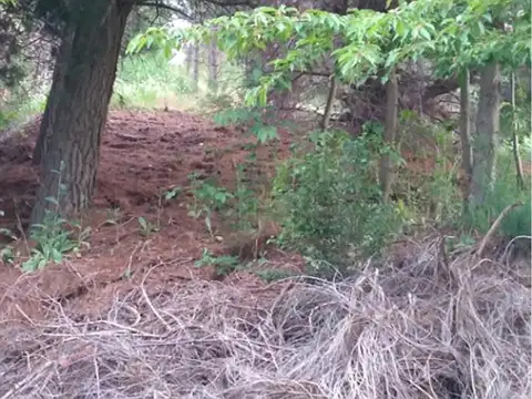 Terreno en Venta en Sigrand, USD 79.000