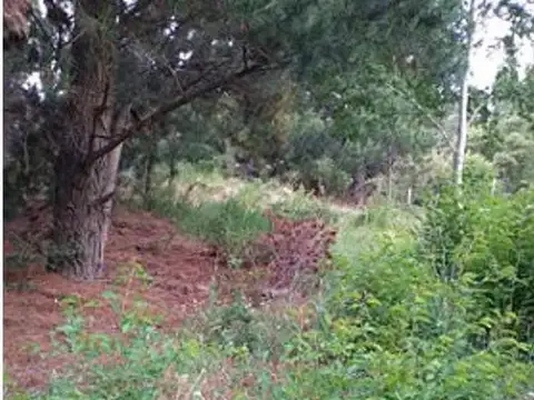 Terreno en Venta de 1203,0 m2