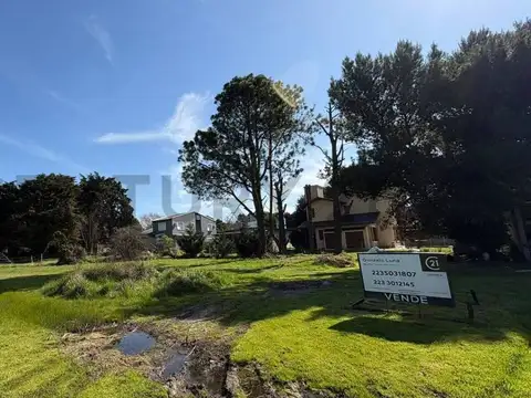 Paseo del Consuelo entre calles Cul de Sac y Av. de la Caballada , Piso 0