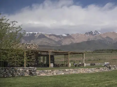 Terreno en venta en Tupungato
