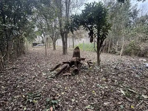 Terreno en Venta 40  mts Fondo