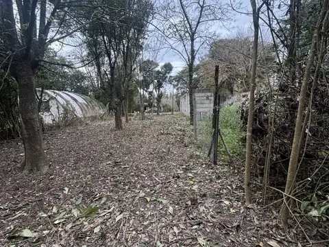 Terreno en Venta 10  mts Frente
