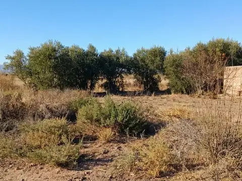 Ruta Provincial 50