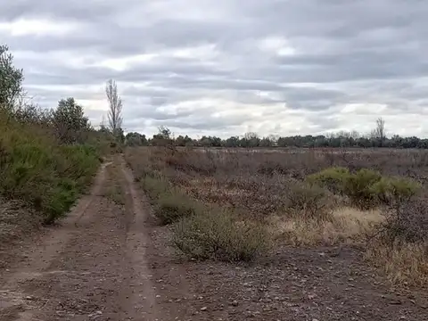 Venta Terreno Inculto San Martin