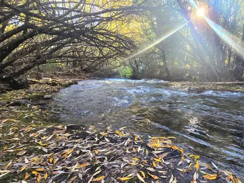 Chacra en venta. El Bolsón, Bariloche. Río Negro