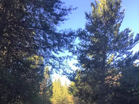 El Bolsón (Ruta 40. Los Repollos, Río Negro)