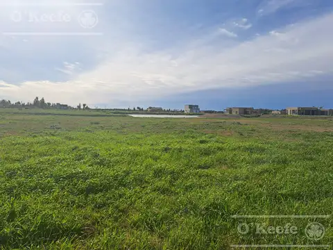 HERMOSO LOTE CON FONDO LAGUNA DE 1100 M2 EN CLUBU DE CAMPO LA ENRIQUETA!