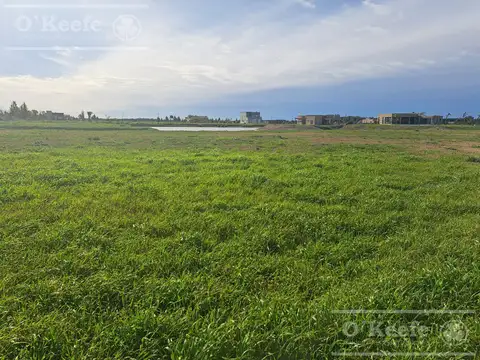 Lote fondo laguna en venta de 1100 M2  en Club de campo La Enriqueta, Brandsen