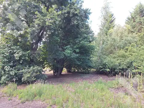 Terreno en Venta en Lascar, USD 40.500