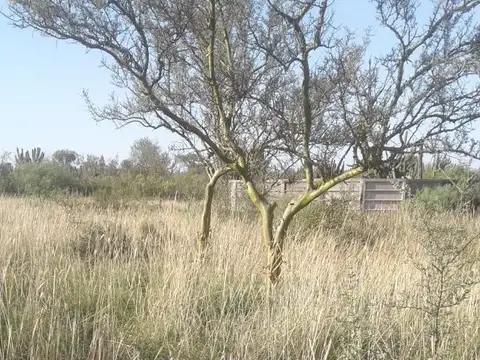 Vendo campo en Chañar, La Rioja