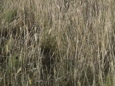 Campo en Venta de 0,59  ha