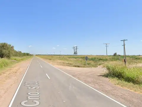 Venta Campo 201 Ha Agrícola s/ Ruta - Totoral - Córdoba