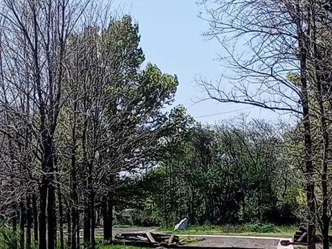 Terreno en Venta en Zelaya, USD 23.000