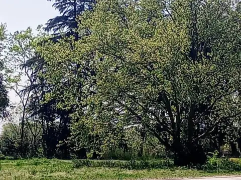Terreno en Venta de 375,0 m2