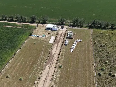VENTA LOTES LAGO PIEDRAS MORAS