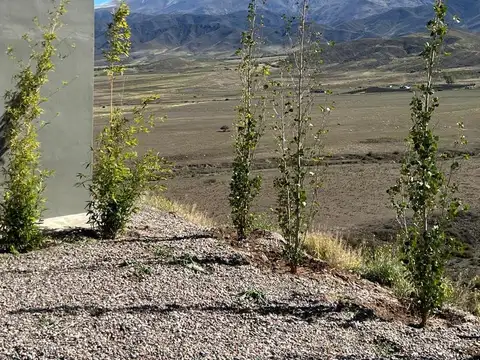 Ruta 89