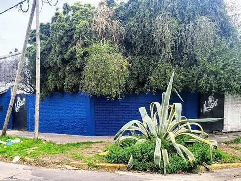 14 de Julio 500