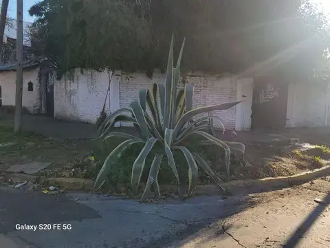 14 de Julio 500