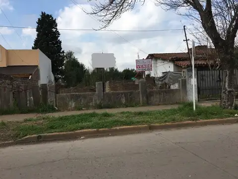 ALVEAR 1000