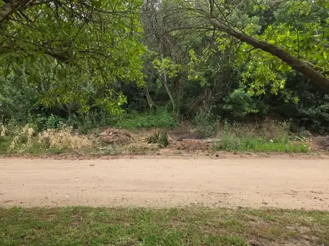 Terreno en Venta en Carilo, USD 89.000