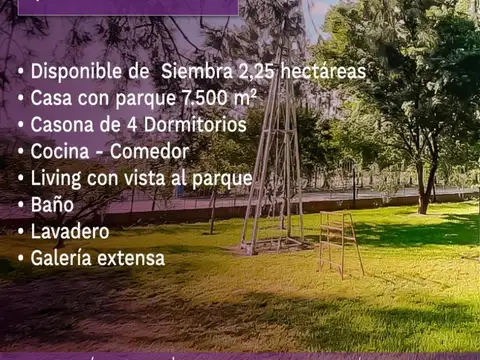 Campo en Venta en San Nicolas de los Arroyos, Partido de San Nicolás