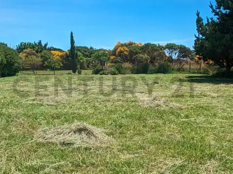 Venta excelente Lote San Eduardo del Mar