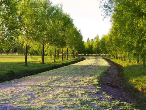 VENTA LOTE 1200 M2 EN POSADA DE LOS LAGOS CORONEL BRANDSEN FRENTE A LA LAGUNA