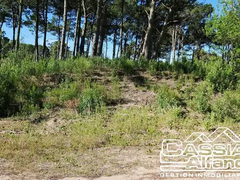 Terreno en Venta de 1019,0 m2