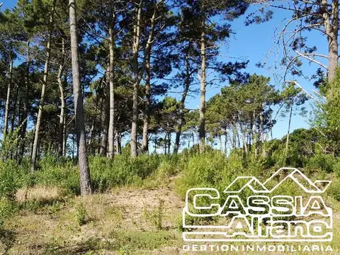 Terreno en Venta en Pinamar, USD 79.000
